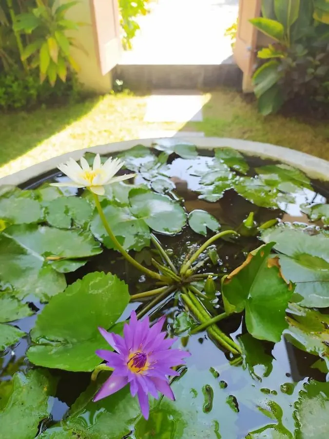 Kubu Green Nusa Dua  0*, Nusa Dua (Bali) Indonésie